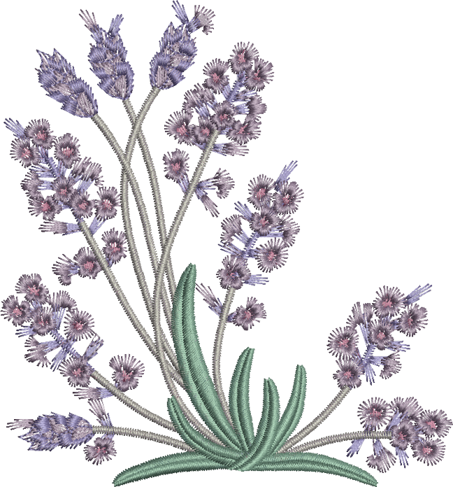 05 - Lavender - Embroidery Pattern Lavender Flowers (648x696), Png Download