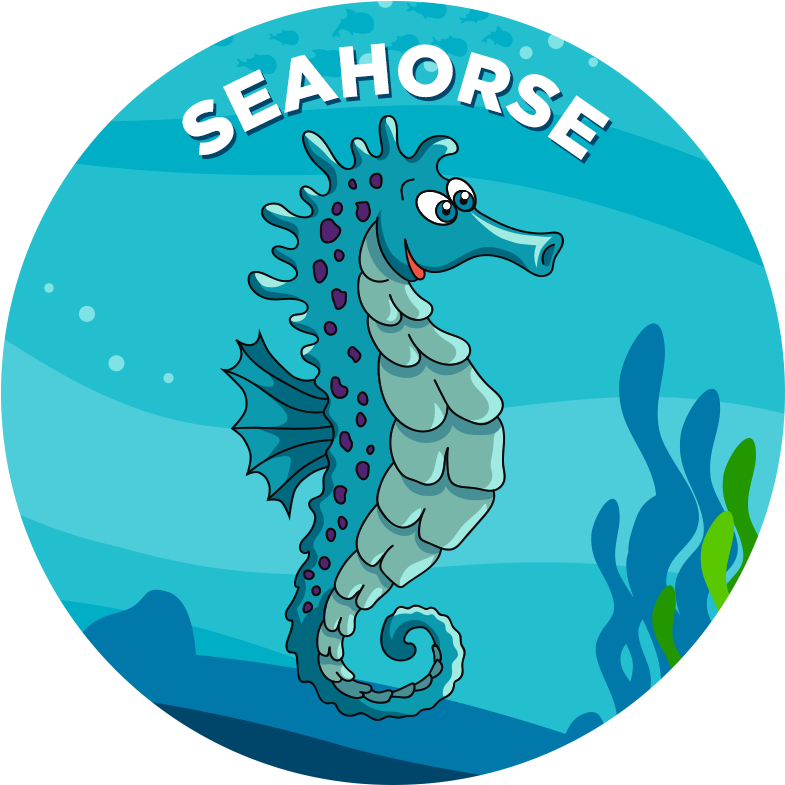Seahorse - Clip Art (800x800), Png Download