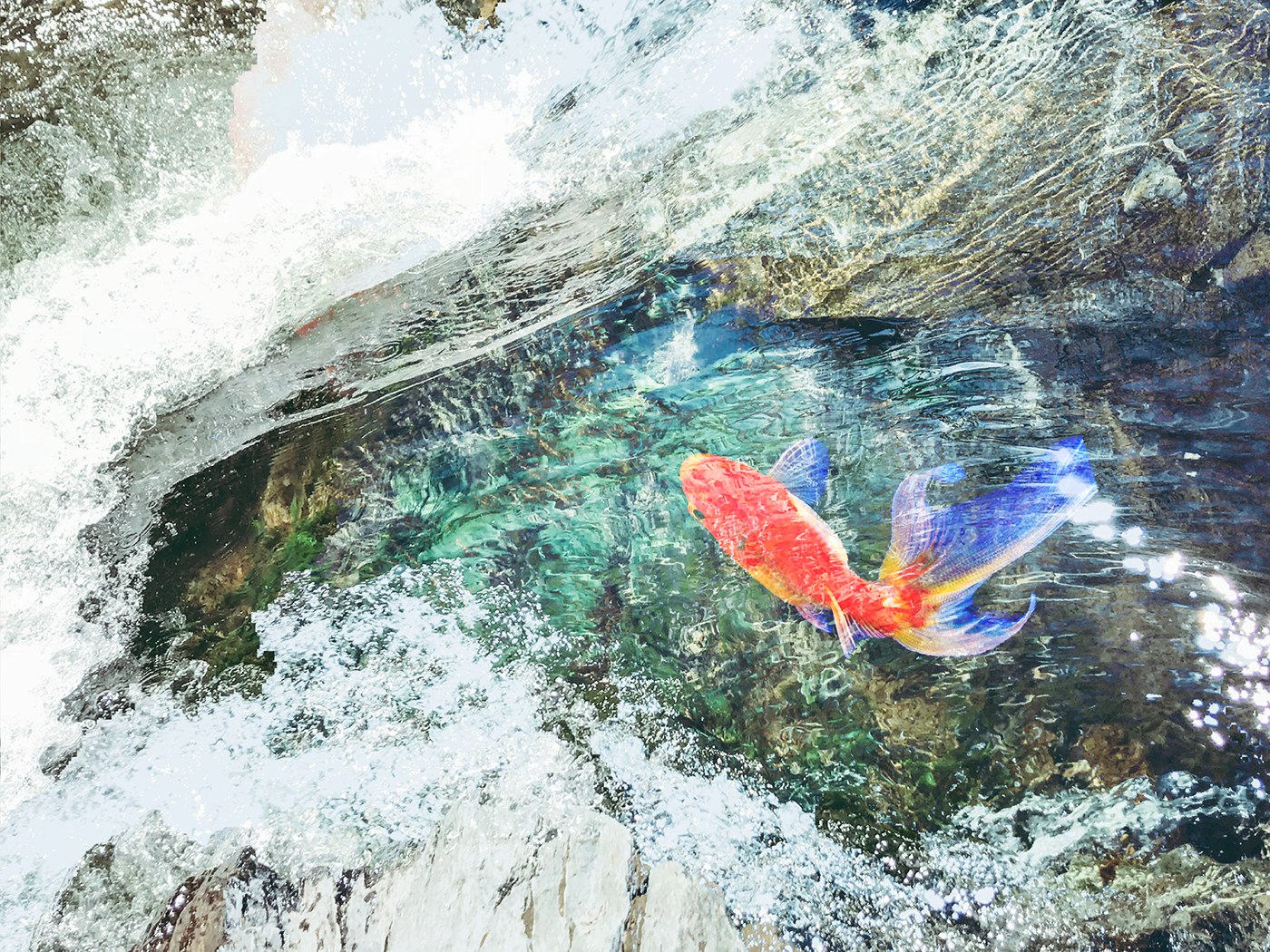 A Fish Swimming Over Moss-covered Rocks - Mountain River (1400x1050), Png Download