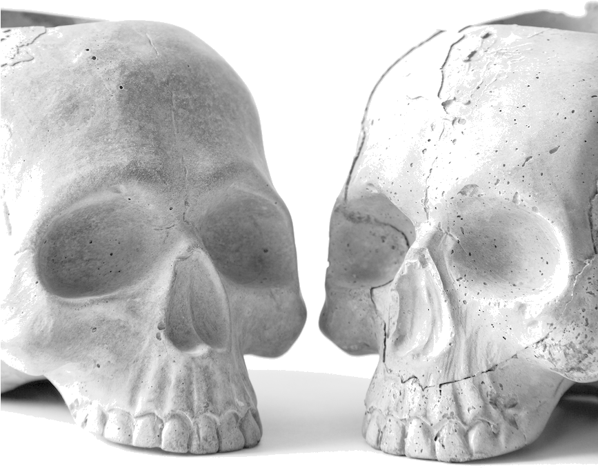 Diy Concrete Skulls - Stock Photography (866x878), Png Download