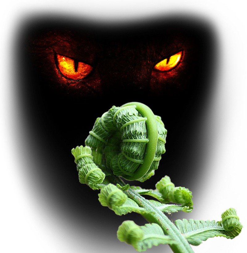 Lust Of The Devil - Significa Fotosintesis (800x819), Png Download