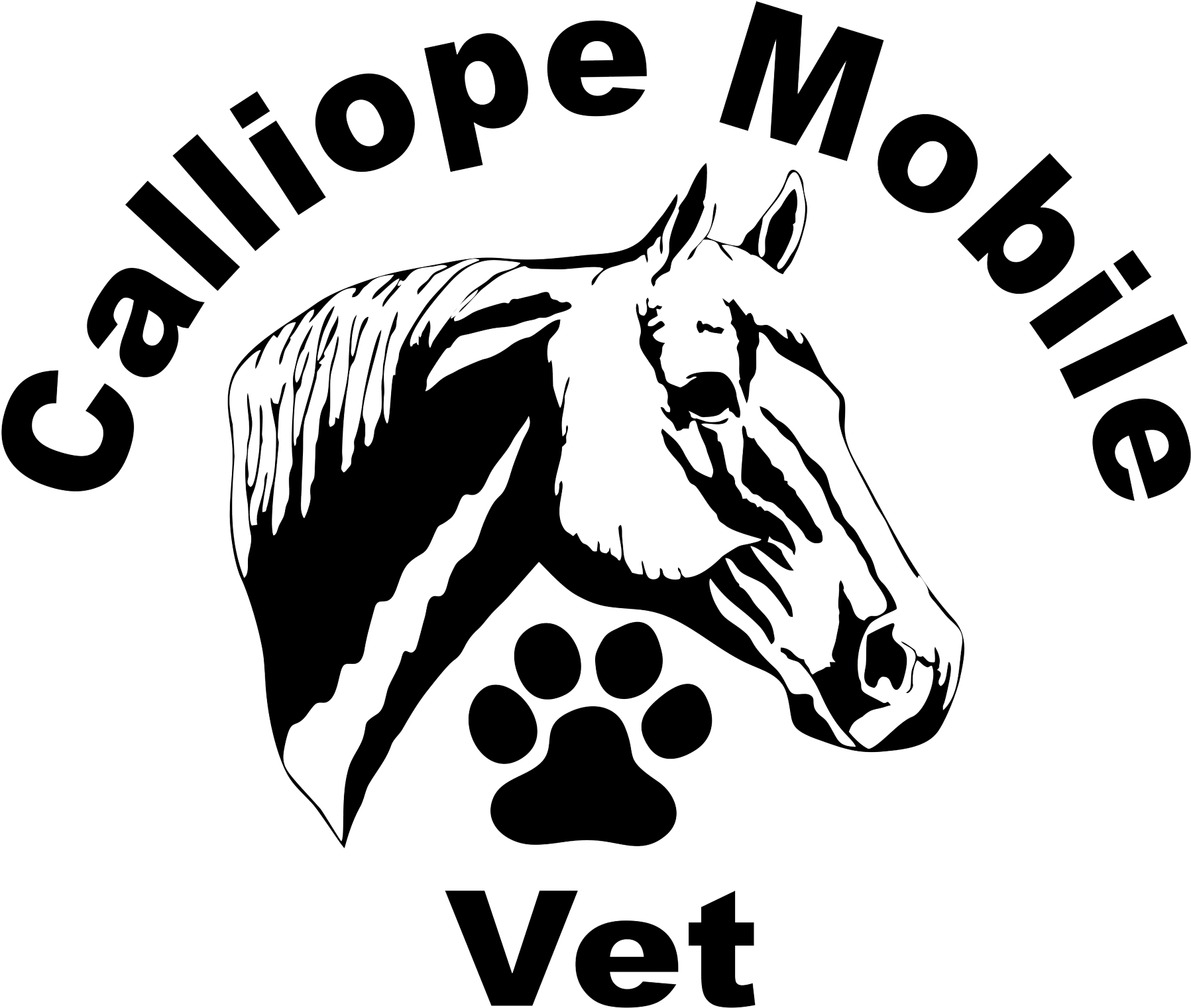 Logo - Quarter Horse Head Silhouette (1800x1537), Png Download