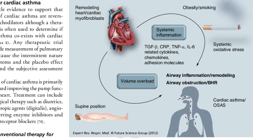 Components Of Airway Obstruction In Congestive Heart - Smoking Congestive Heart Failure (850x463), Png Download