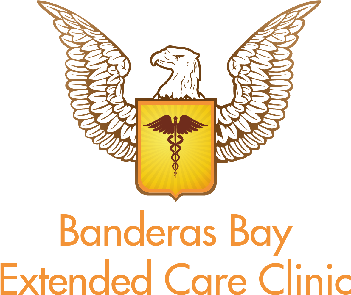 Banderas Bay Extended Care Clinic -sayulita, Nayarit - United States Eagle Vector (1202x1013), Png Download