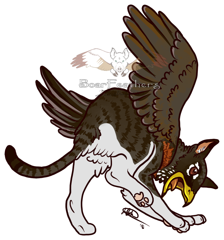 1-angel's Wings - Illustration (744x800), Png Download