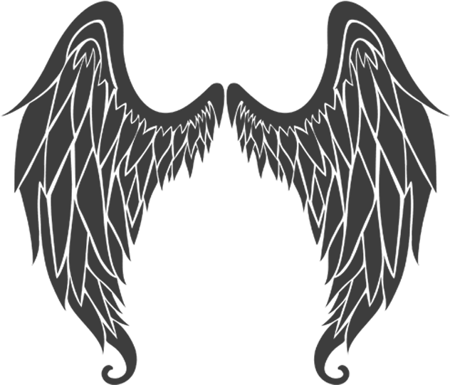Excellent Angel Wings Wall Decal Easy Decals St17 - Angel Wings Decal (800x550), Png Download