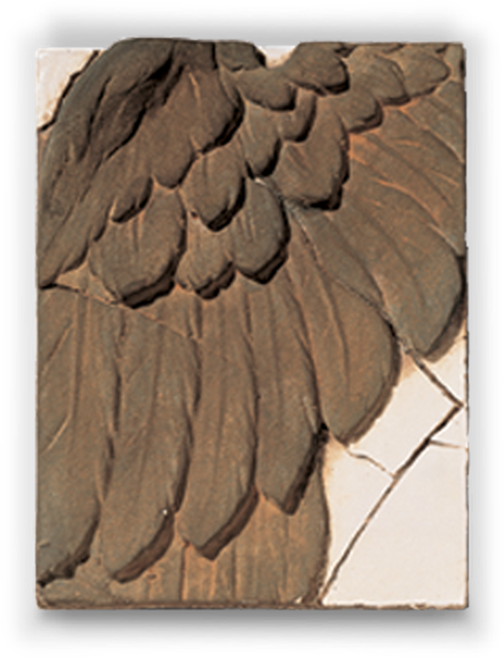 Forgot Password - Sea Eagle (552x720), Png Download