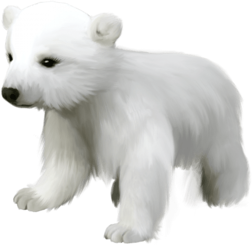 Free Png Download Cute Small Polar Bear Png Images - Cute Polar Bear Transparent (850x816), Png Download