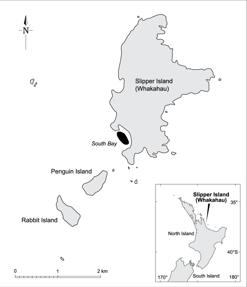 Of Slipper Island On The Coromandel Showing - Diagram (850x987), Png Download