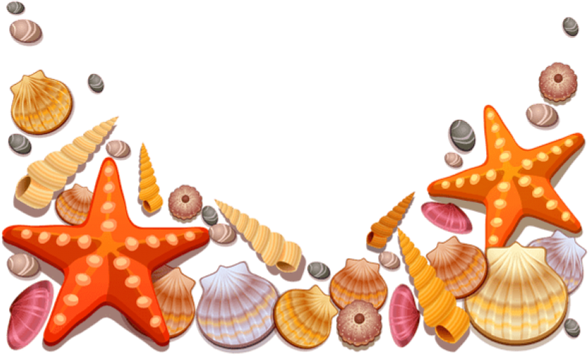 Free Png Download Sea Shells Decor Png Vector Clipart - Sea Shells Vector Png (850x530), Png Download