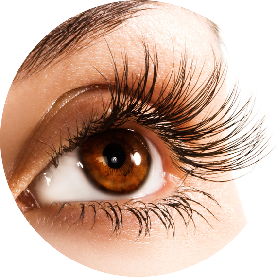 There Is A $20 Non-refundable Deposit Required Upon - Parts Of Body Eye (570x570), Png Download