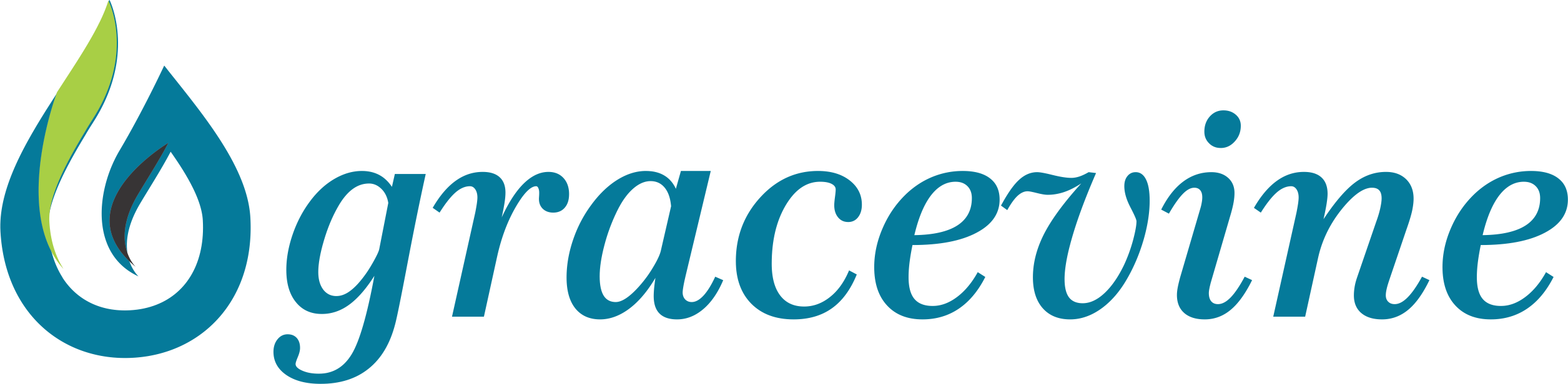 Gracevine Chapel - Electric Blue (2511x616), Png Download