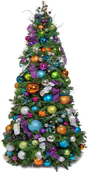 Christmas Tree (600x600), Png Download
