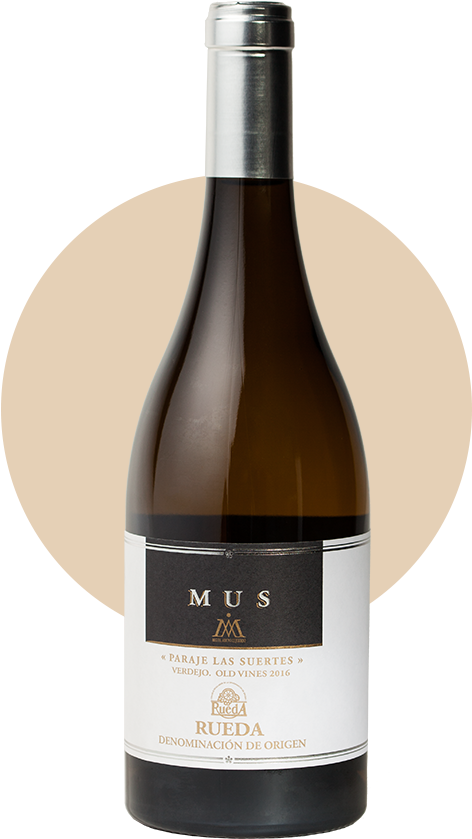 Descargar Ficha - Wine (525x923), Png Download