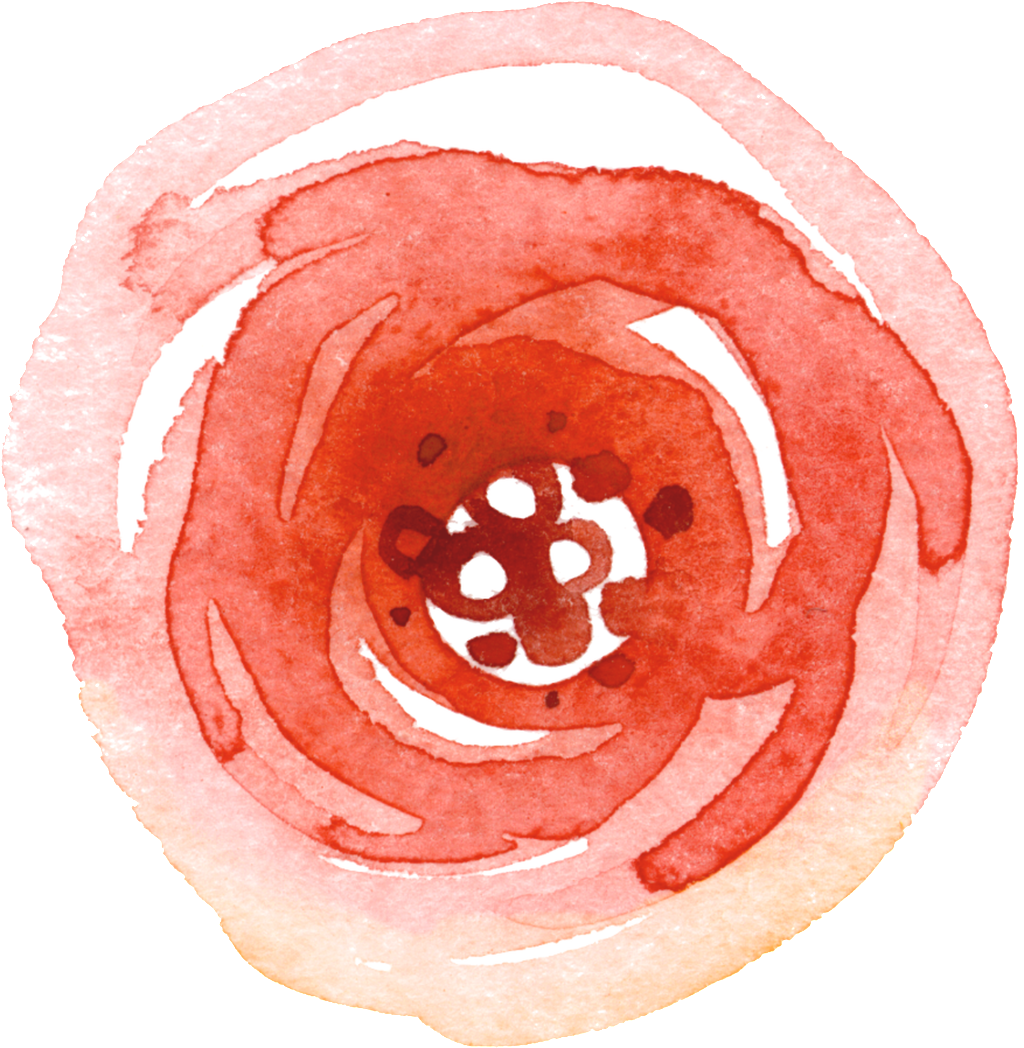 Gorgeous Red Gradient Floral Transparent Decorative - Illustration (1024x1048), Png Download