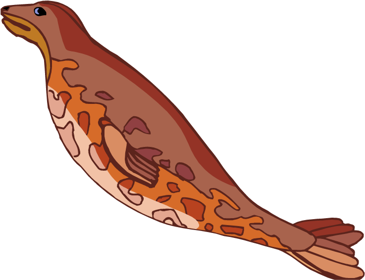 Harbor Seal Clipart 1 (750x583), Png Download