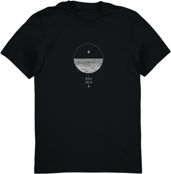 $19 - - Tedx Tshirts (600x600), Png Download