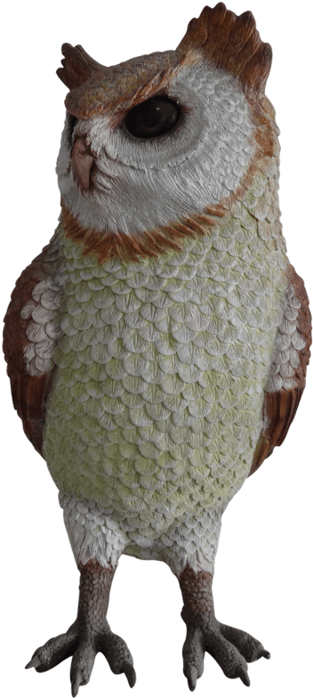 Great Horned Owl (720x960), Png Download