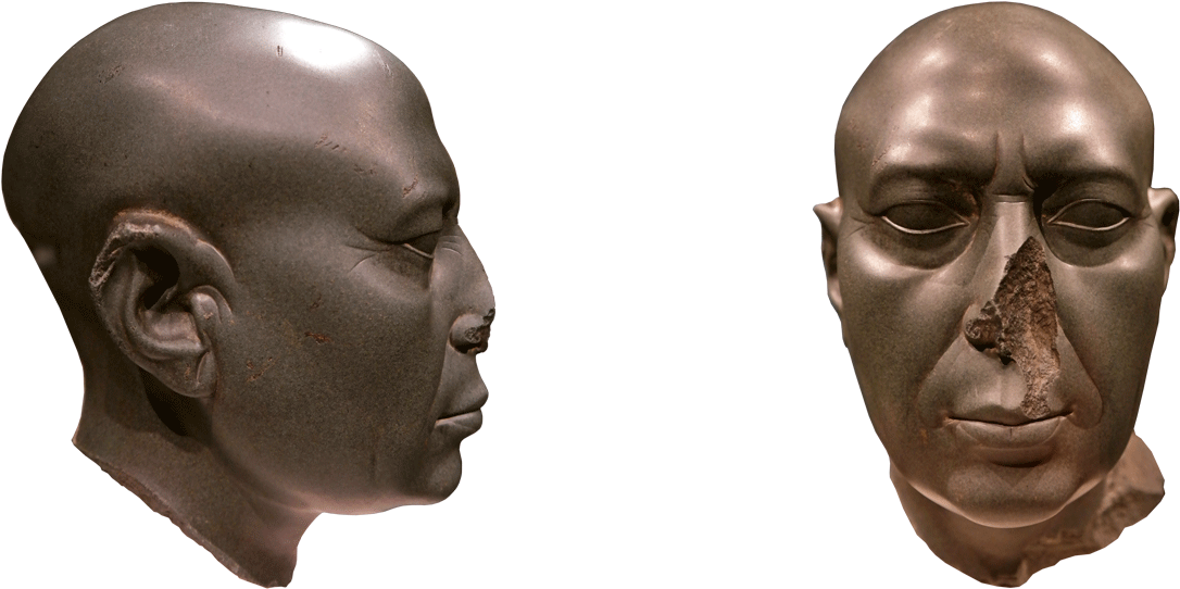 Since The Human Nose Is The Main External Respiratory - Missing Nose (1100x550), Png Download