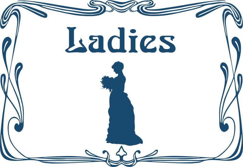 Ladies' Toilet Door Sign - Ladies Sign For Toilets (800x550), Png Download