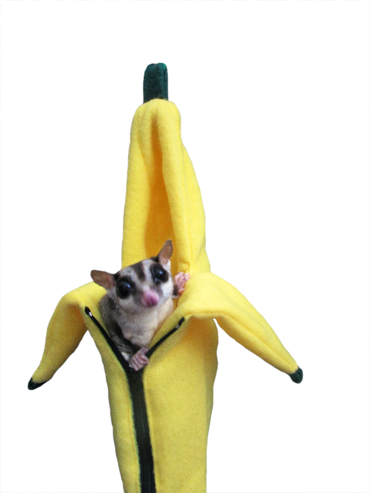 Vampire Bat (750x1000), Png Download
