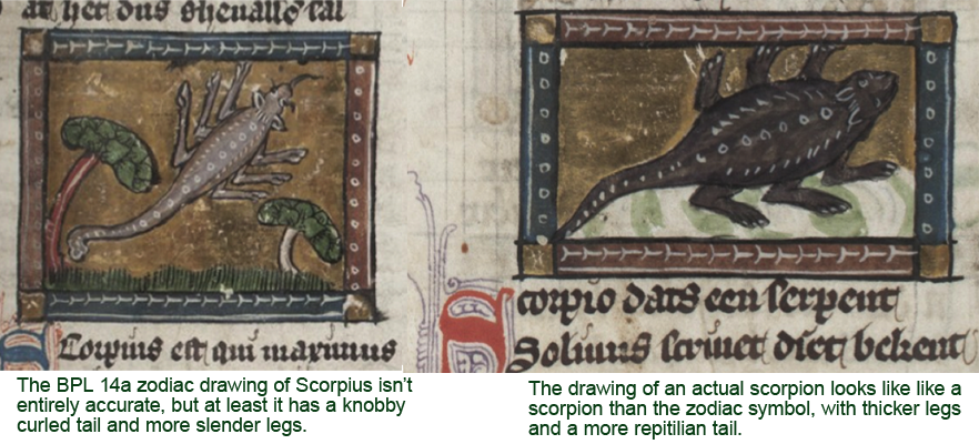 It Seems Possible That The Illustrators Of Bpl 14a - Sturgeon (882x400), Png Download