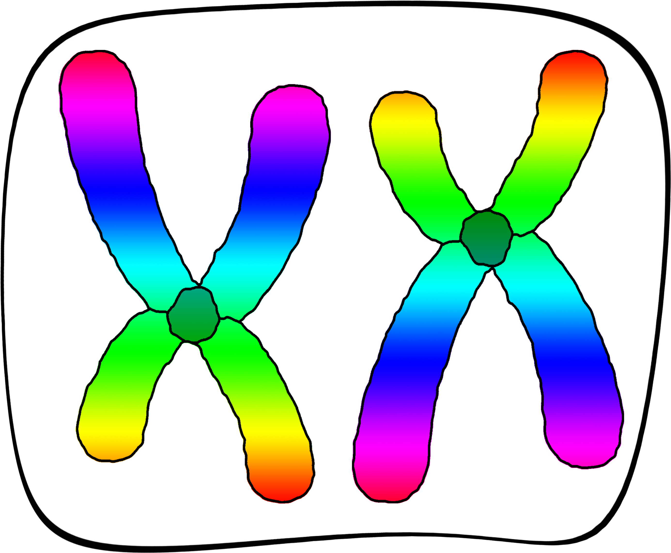 Clip Art (3000x3000), Png Download