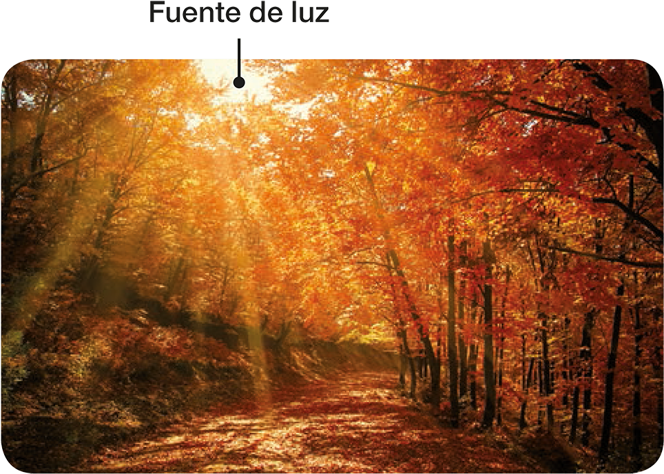 Completa El Siguiente Diagrama - 720 X 1280 Autumn (1000x712), Png Download