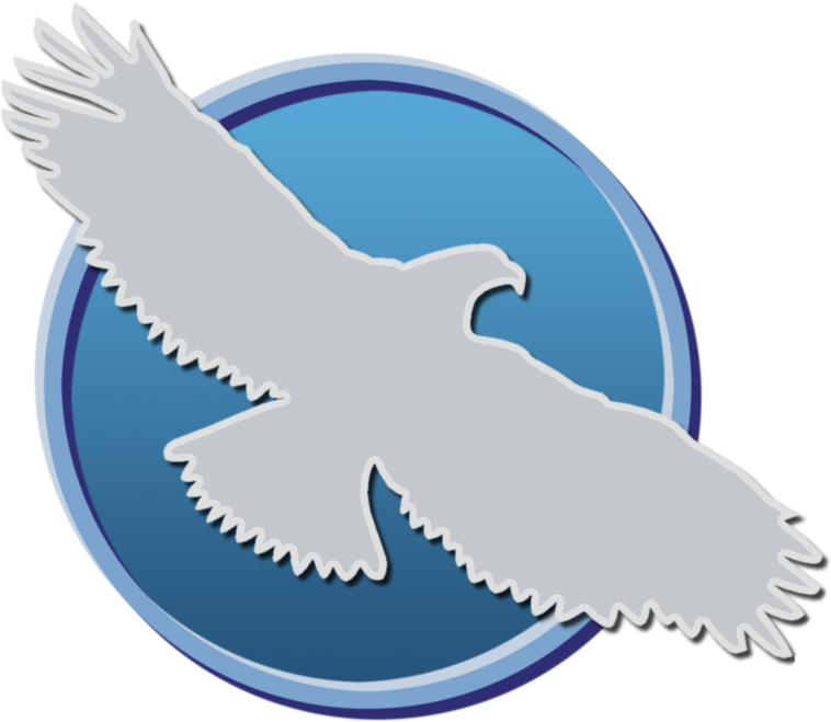 Eagle 776 Kb - Simplex Aerospace (1024x853), Png Download