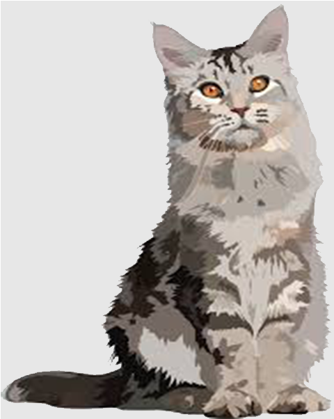 A Holiday Home For Cats - Domestic Short-haired Cat (1890x1417), Png Download