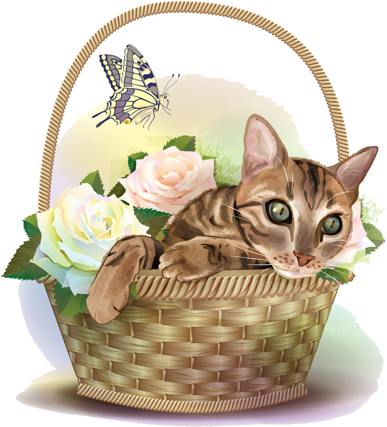 Cat (911x1000), Png Download