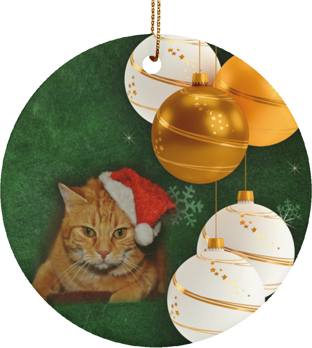 Tabby Cat Crafted Christmas Ornament Ceramic Snowflake - Tabby Cat (1155x1155), Png Download