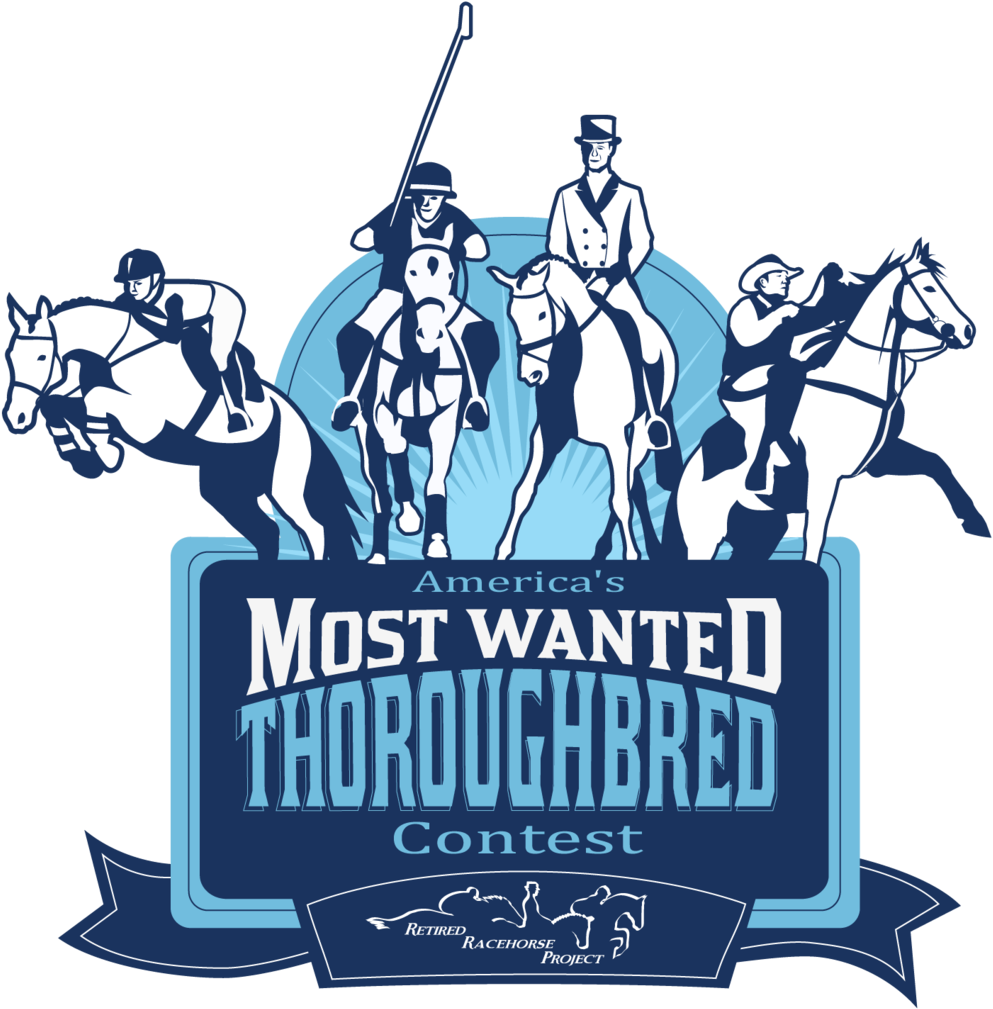 America's Most Wanted Thoroughbred Contest Launched - Illustration (1180x1059), Png Download