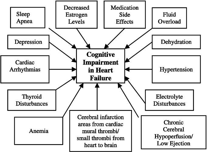 Etiologies Of Cognitive Impairment In Heart Failure - Diagram (681x503), Png Download