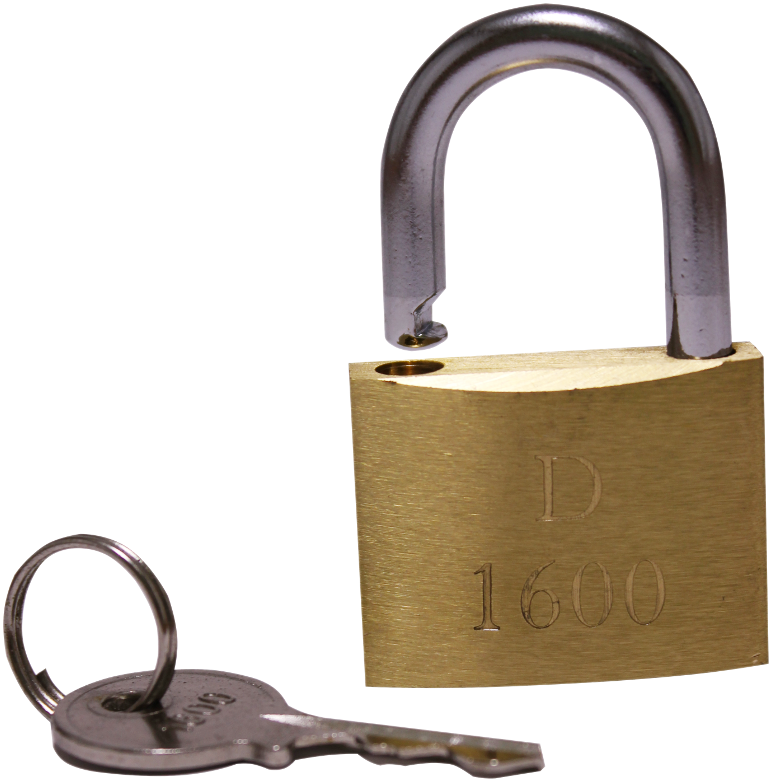 Brass Dolphin Style Padlock D 1600 With 35mm Key - Key (800x800), Png Download