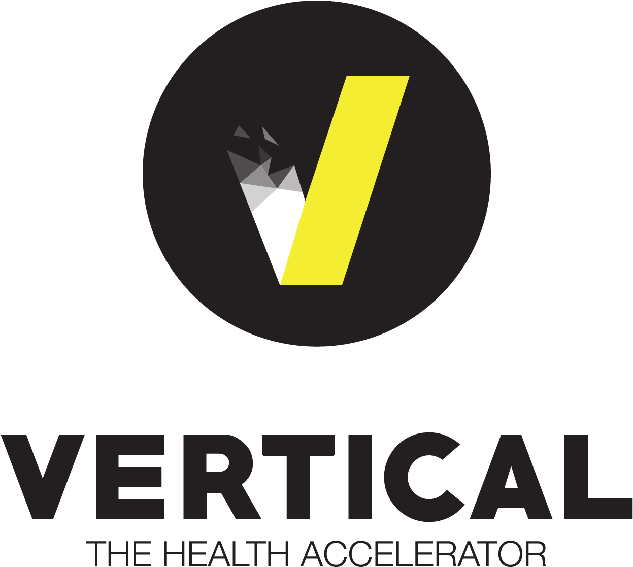 Accelerators & Incubators - Vertical Health Accelerator Logo (1252x1124), Png Download
