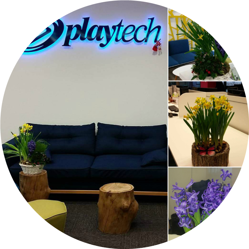 In 2017 The Office Of The Company Was Fully Renovated - Outdoor Furniture (1000x1000), Png Download