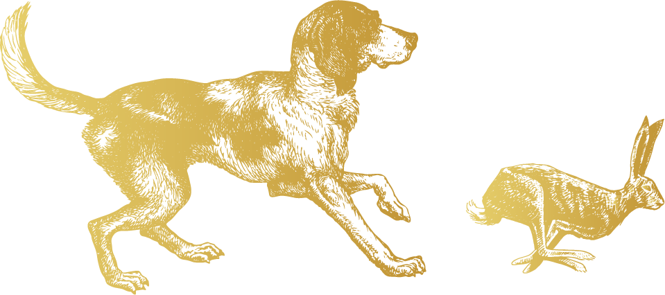 Hare Gold - Brittany (959x426), Png Download