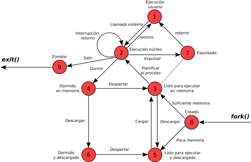 Modelo De Estados De Los Procesos En Unix - Estados De Transicion De Siete (878x561), Png Download