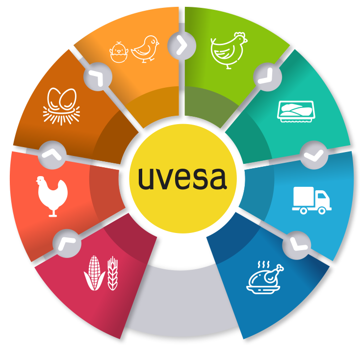 Vertical Integration - Erp For Pharmaceutical Industry (734x734), Png Download