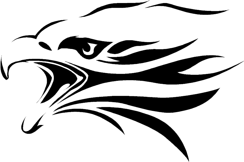 Harley Davidson Eagle Drawings Coloring Pages - Eagle Eye (1040x574), Png Download