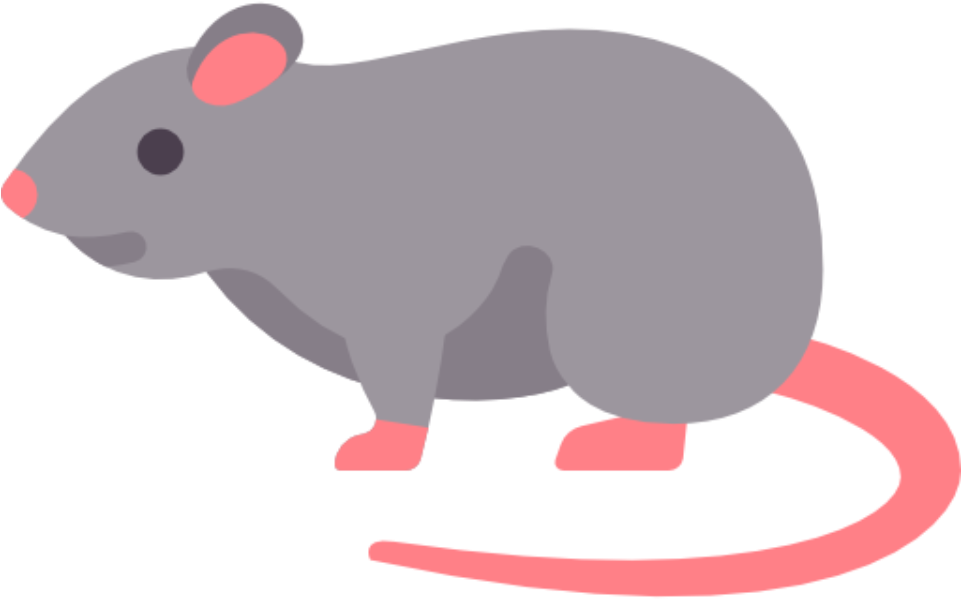 Partnering With Rats To Save Human Lives - Rat Flat Icon (960x960), Png Download