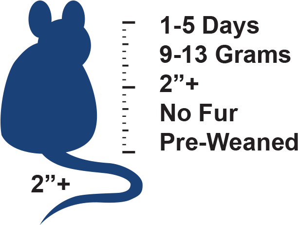 3 Days (750x500), Png Download