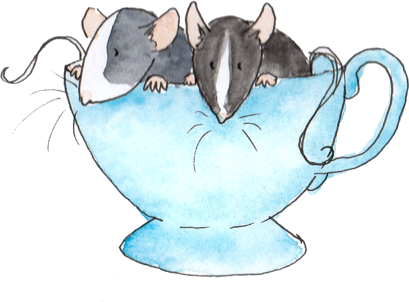 Or If You'd Like To Commission A Personal Image Of - Pet Rat Drawing (1600x1200), Png Download