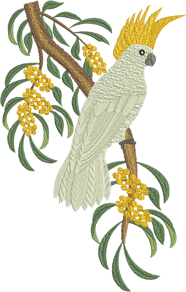 Cockatoo - 3 - 99 - Cockatoo Web (1000x1000), Png Download