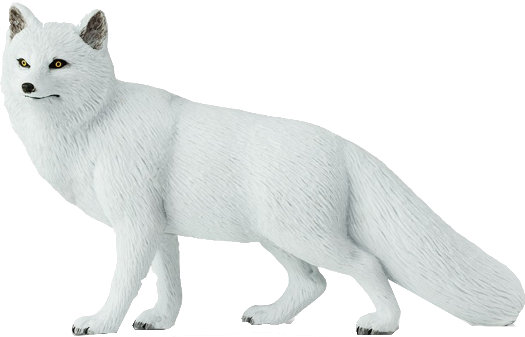 Arctic Fox (1802x1154), Png Download