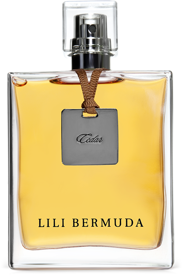 Perfume (621x966), Png Download