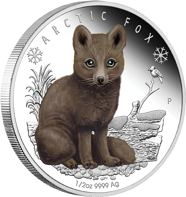 2017 1/2oz Silver Proof Coin - Polar Babies Coins (624x652), Png Download