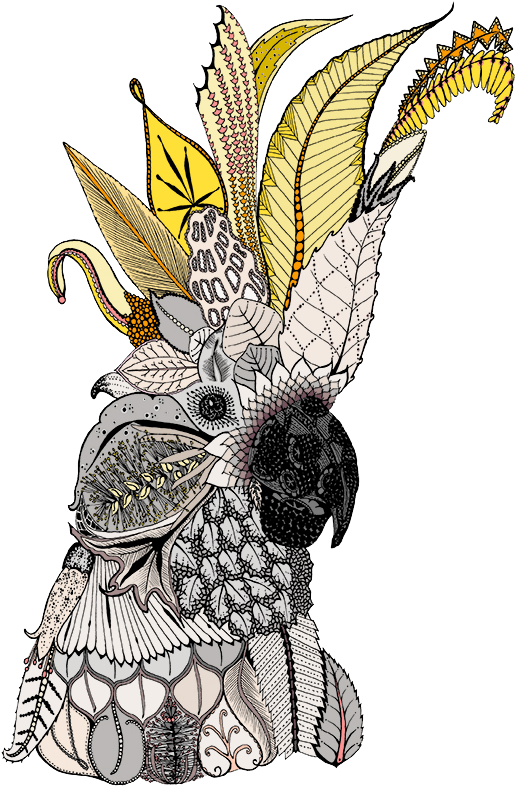 72dpi Png - Jpeg (595x843), Png Download