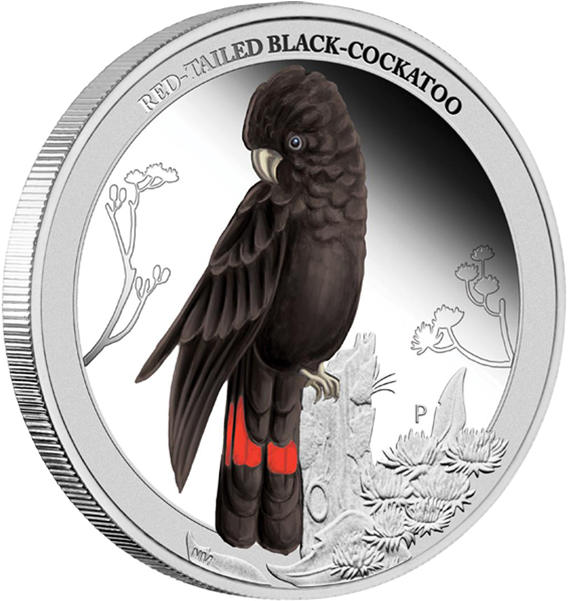 Australia 2013 50 Cents Red Tailed Black Cockatoo Birds - Red Tailed Black Cockatoo 5 (600x600), Png Download